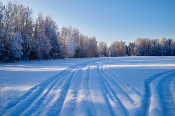 White road in a winter forest with snow covered trees in a sunny day