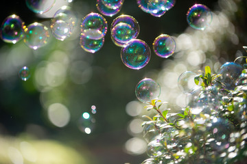 たくさんのシャボン玉