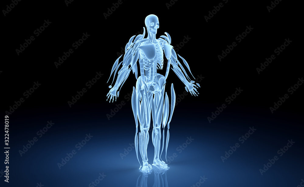 Poster digital x-ray human body holographic scan projection 3d rendering
