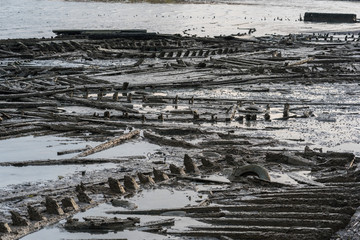 Parts of an old demolished jetty in the low tide in the mud of the Penang Strait. There used to be...