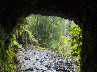 View from dark water duct tunnel through running water to lush jungle at hiking trail Los Tilos at mysterious laurel forest. Beautiful nature reserve on La Palma, Canary islands, Spain