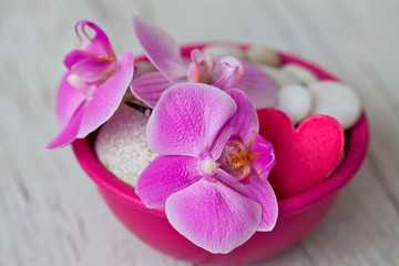 Fototapeta premium Pink Orchid And Heart Still Life
