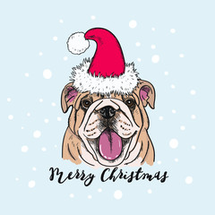 Christmas card. Portrait of a Dog in a Santa's cap. Vector illustration.
