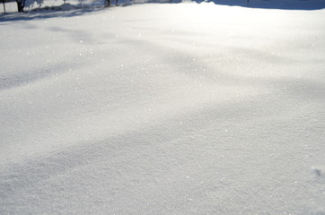 Beautiful winter landscape.Trees covered with hoarfrost and snow