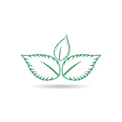 mint leaf logo
