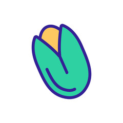 Nut icon vector. Thin line sign. Isolated contour symbol illustration