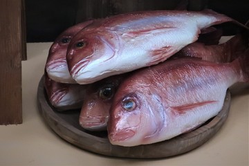 물고기 음식 모형