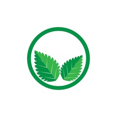 mint leaf logo