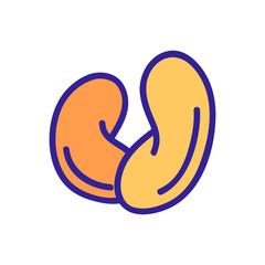 Nut icon vector. Thin line sign. Isolated contour symbol illustration