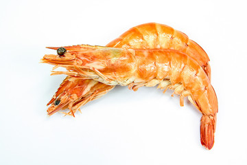 grosse crevette rose sur un fond blanc