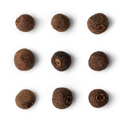 allspice on white background