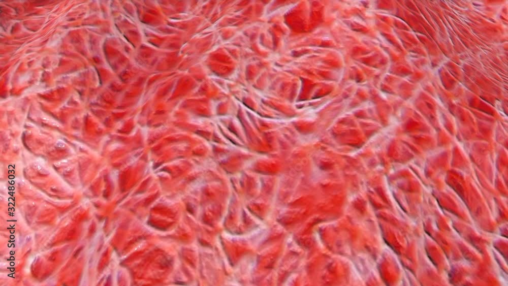 Poster red wave surface with texture. abstract animated background. 3d render