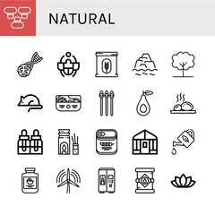 natural simple icons set