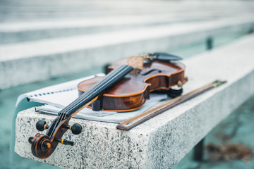 Close view of a violin strings and bridge. Violin in vintage style on outdood background. The...