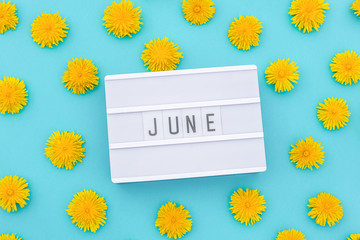Fototapeta Text June on light box and yellow dandelions on blue background. Concept hello summer. Top view Flat lay. obraz