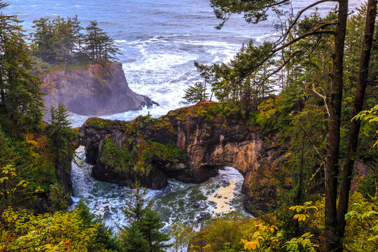 Natural Bridges Viewpoint, Samuel Boardman State Scenic Corridor Oregon