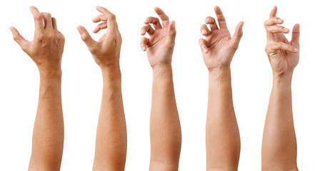 GROUP of Male Asian hand gestures isolated over the white background. Soft Grab Action. Touch...