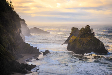 Arch Rock Viewpoints, Samuel Boardman State Scenic Corridor Oregon