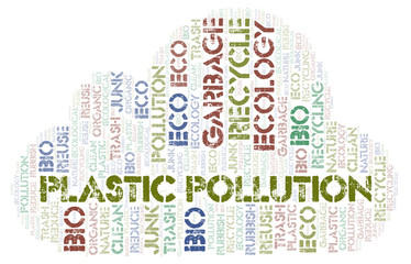 Plastic Pollution word cloud.
