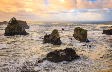Fototapeta na wymiar Coastal Viewpoints, Samuel Boardman State Scenic Corridor Oregon