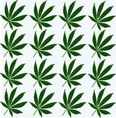 photo background of hemp leaves drawn, green on white background