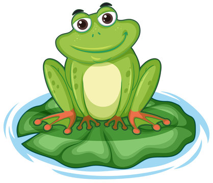 Happy frong sitting on lotus leaf
