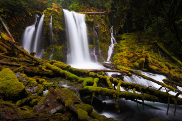 Fototapeta na wymiar Downing Creek Falls, a Hidden Falls in Oregon