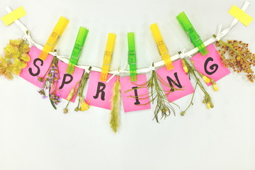 Welcome spring season wall decoration. Pastel pink colored paper cutouts clipped on a lace