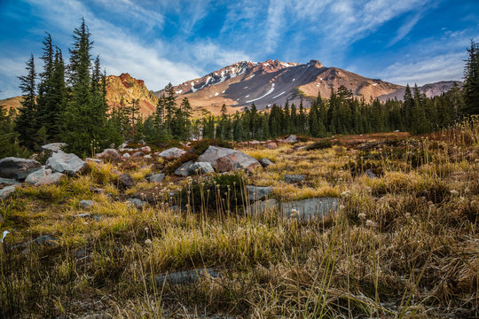 Mount Shasta Morning Views, Panther Meadow, Mt. Shasta California
