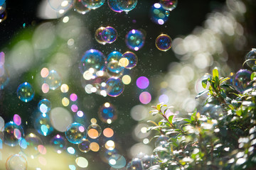 たくさんのシャボン玉