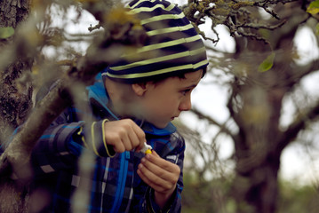 Fototapeta na wymiar Cute little kid boy enjoying climbing on tree in garden on autumn day.