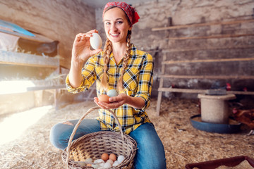 Famer woman collecting eggs from her hens in basket