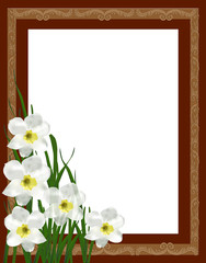 narcissus floweres in brown frame
