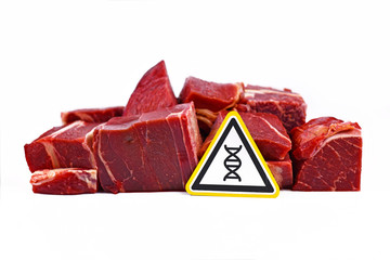 Concept for genetically modified meat for human consumption, showing chunks of red meat with yellow...