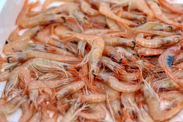 Fresh prawns in fish shop ready to be sold