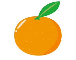 みかん　オレンジ