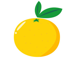 みかん　オレンジ