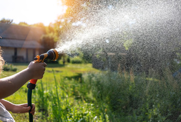 Watering garden equipment - hand holds the sprinkler hose for irrigation plants. Gardener with...