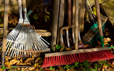 Group of gardening tools laying in dry autumn leaves.Old dirty farm metal garden tools as shovels and rakes,spade, fork and rake on garden tools concept.