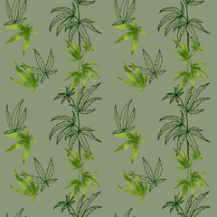 Digital illustration of beauty trending seamless pattern of green juicy hemp leaves on a green background. Print for fabrics, packaging, posters, banners, medical and beauty industry.