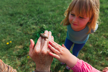 kids learning - kids looking at and exploring lizard in nature