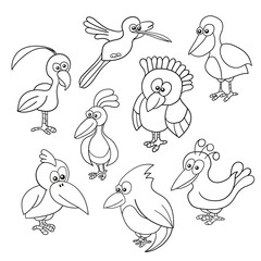 Funny Birds collection - coloring book on white