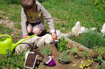 Jardinage - enfant cutivant son potager d'aromates