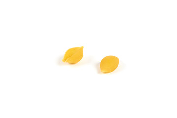 conchiglioni pasta shells , isolated on a white background.