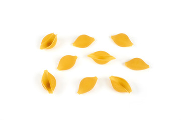 conchiglioni pasta shells , isolated on a white background.