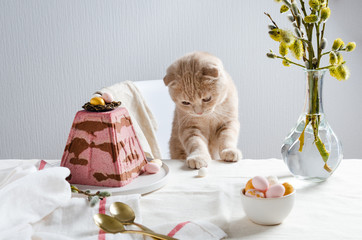 Fototapeta na wymiar Cute kitten rolling easter eggs at festive Easter table. Easter greeting card, poster. Traditional cottage cheese cake. Copy space