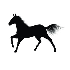 Obraz na płótnie Canvas Horse silhouette vector. animal wildlife