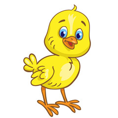 Funny little chicken in cartoon style. Isolated on white background. Vector illustration.