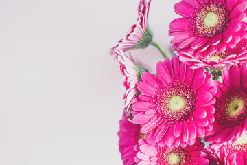 Bouquet of gerbera flowers on a light pink background with copy space. 