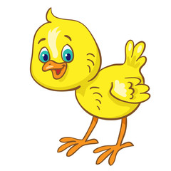 Funny little chicken in cartoon style. Isolated on white background. Vector illustration.